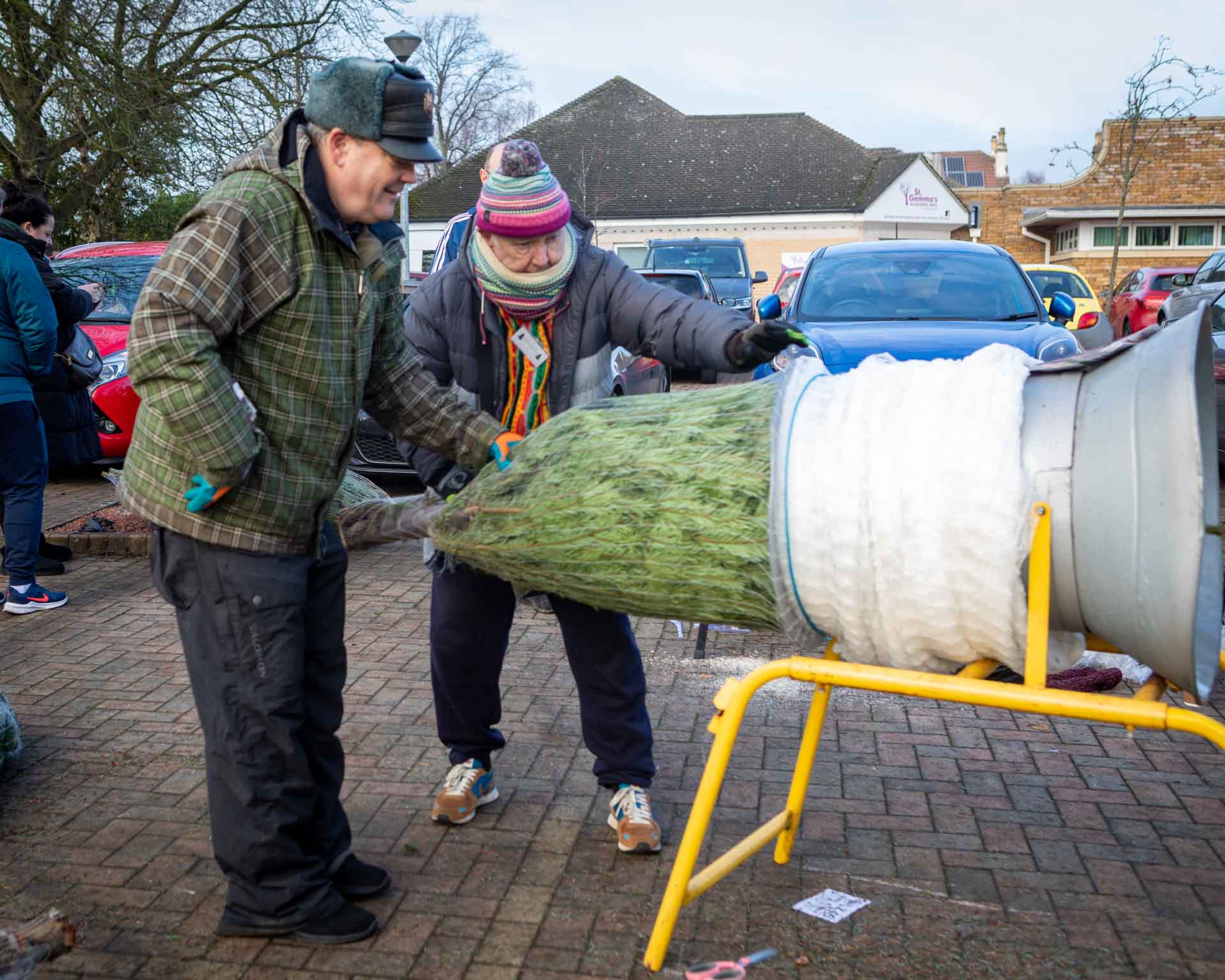 Tree wrapping